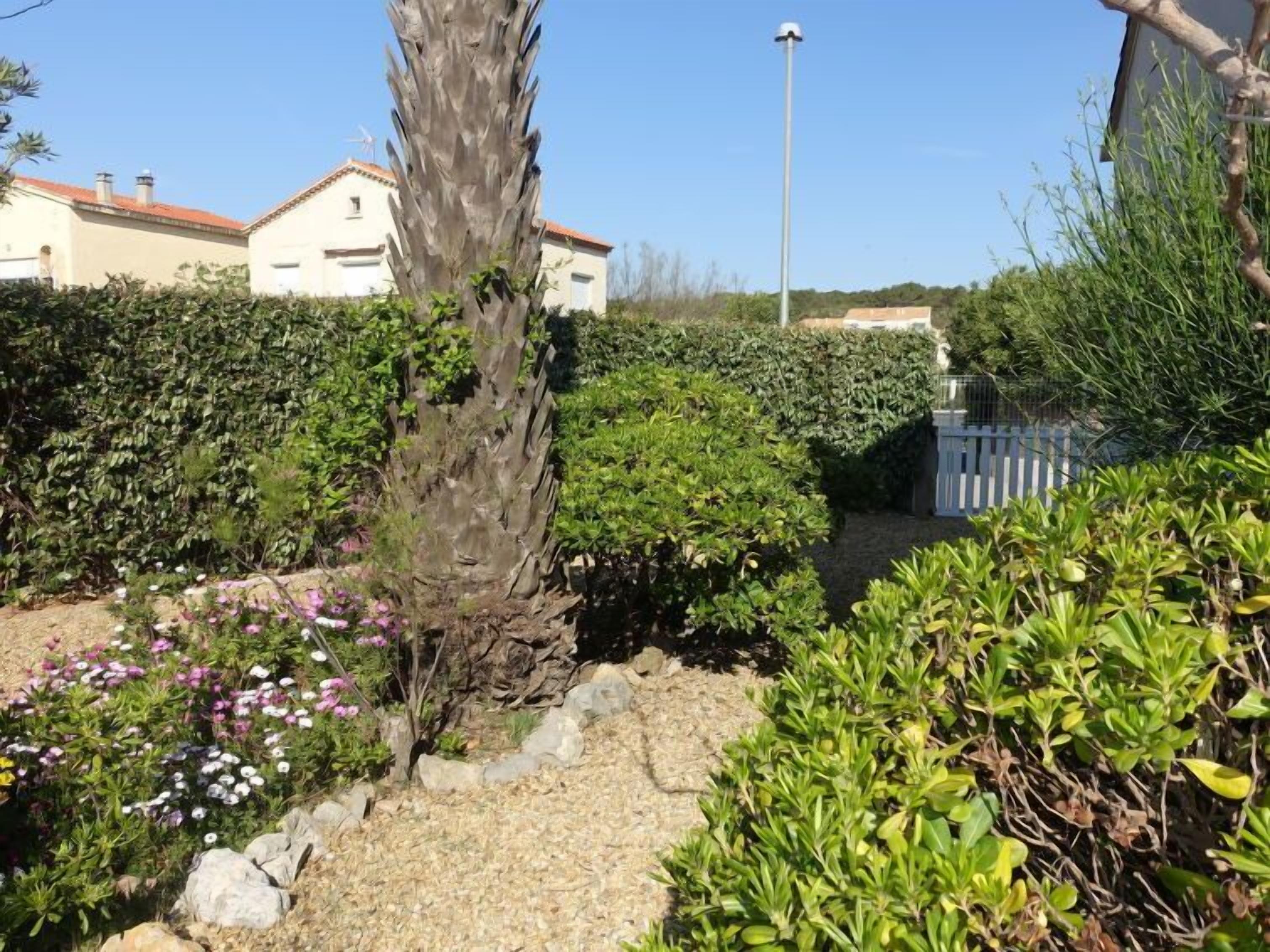 A garden with various plants and a palm tree, surrounded by a white fence and houses in the background.