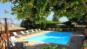 A rectangular swimming pool with lounge chairs and tables, surrounded by potted plants and a stone patio. - Villa Mina by Interhome (Frascati)