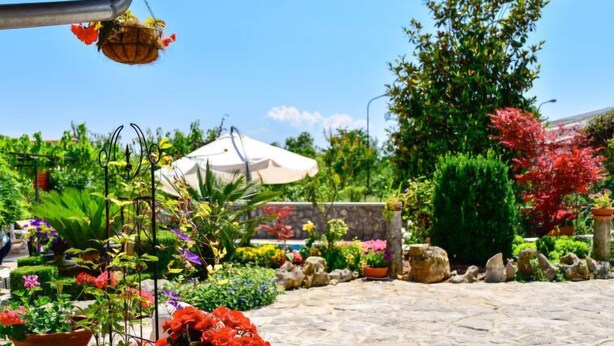 Un jardin agrémenté de diverses plantes et fleurs en pot, d’un chemin de pierres et d’un parasol blanc.