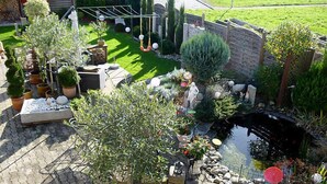 Un jardín con un estanque, diversas plantas y una zona de estar.