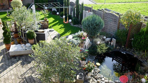 Un giardino con uno stagno, diverse piante e una zona relax.