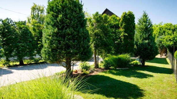 A residential area with a variety of trees and a well-maintained lawn.