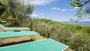 A table tennis table set up outdoors with a view of a coastal landscape and trees in the background.