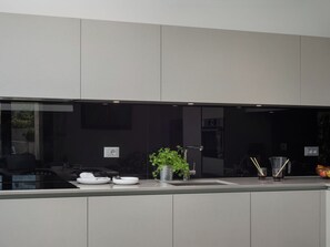 Eine moderne Küche mit Einbauherd, Spüle und einem Blumentopf auf der Arbeitsfläche.