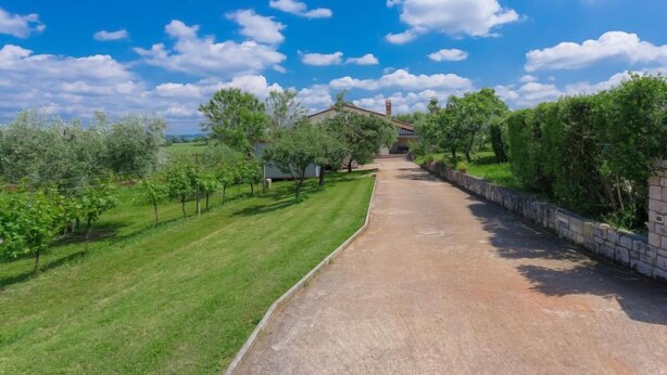 Une propriété située en zone rurale, avec une allée goudronnée menant à une maison entourée d’une végétation luxuriante et d’arbres.