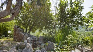 A garden with a stone wall, rocks, and various plants.