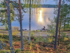 Eine friedliche Seeblick mit Birken und einer Statue auf einem Felsen.