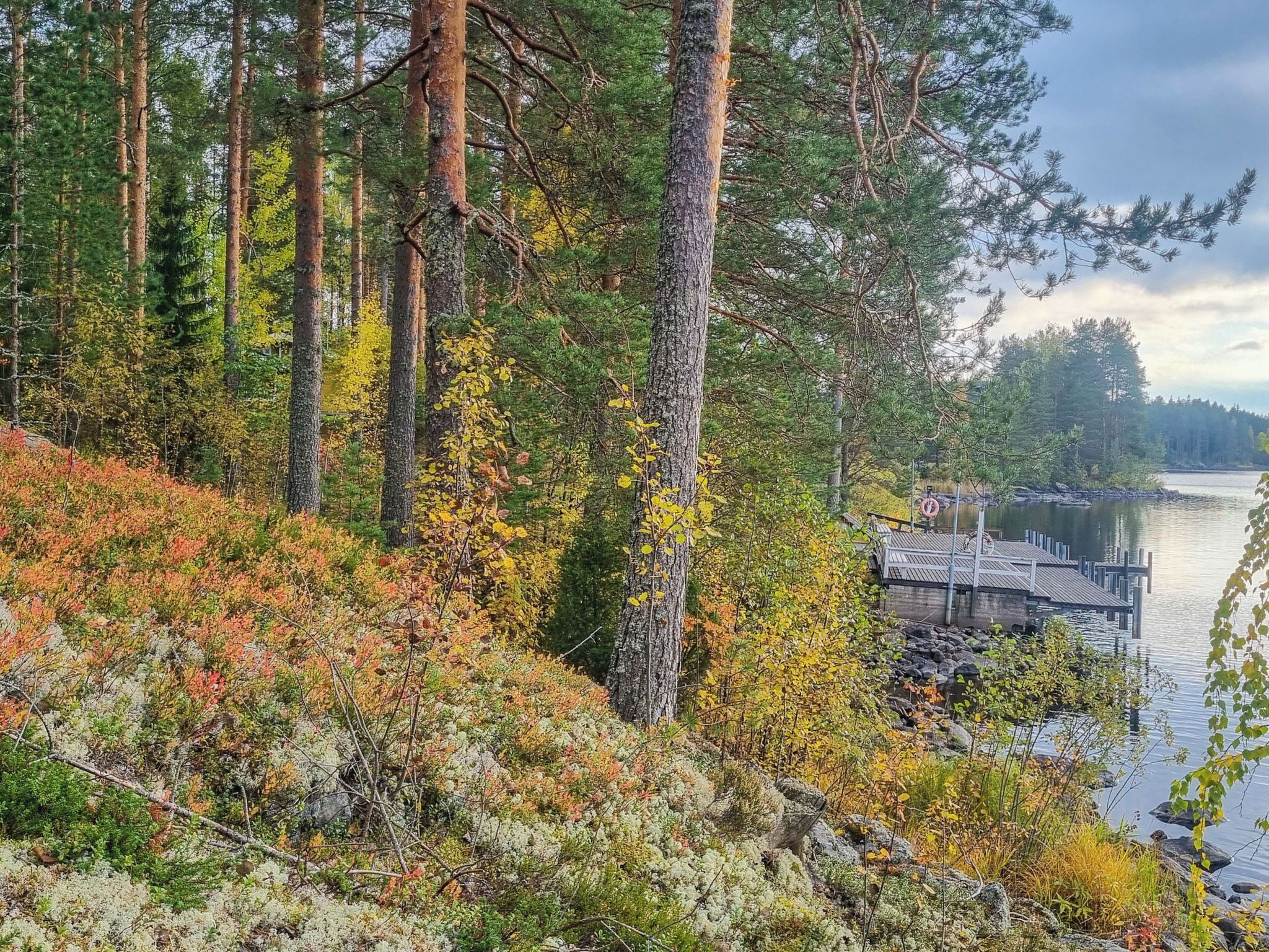 Une zone boisée avec une jetée qui s’avance sur un lac paisible, entourée de grands arbres et d’un feuillage automnal.