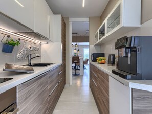Fridge, microwave, oven, dishwasher - Albona Luna by Interhome (Labin)