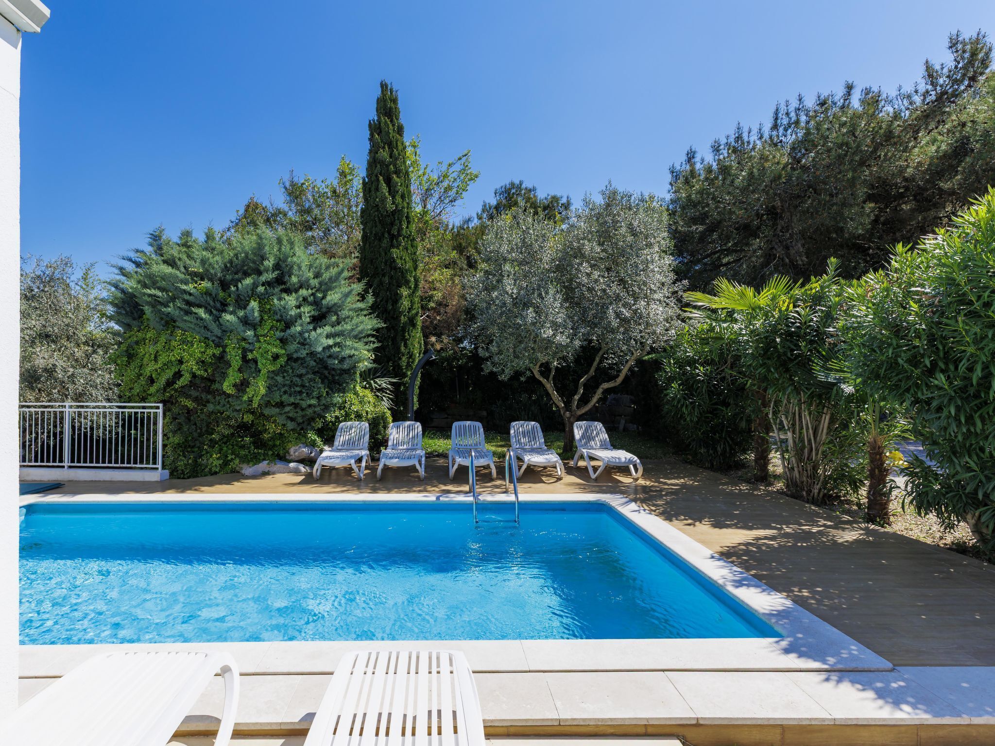 Piscina con sillones de descanso, rodeada de árboles y una valla blanca.
