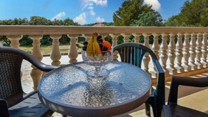 A round glass table with a bowl of fruit on a balcony with a balustrade. - Apartment Milin by Interhome (Murter/Jezera)