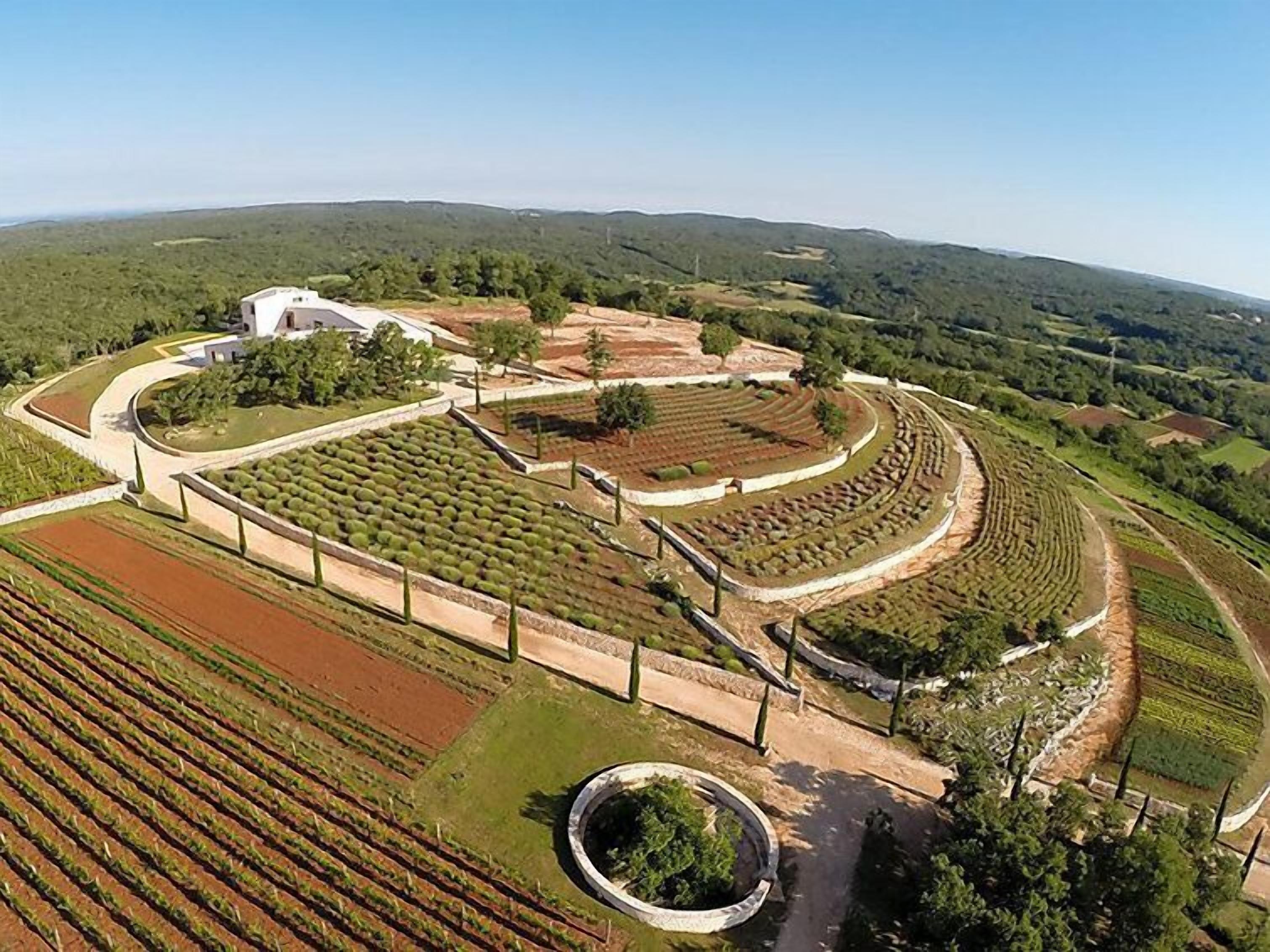 Vue aérienne d’un vignoble avec des terrasses, un bâtiment blanc et une fontaine circulaire.