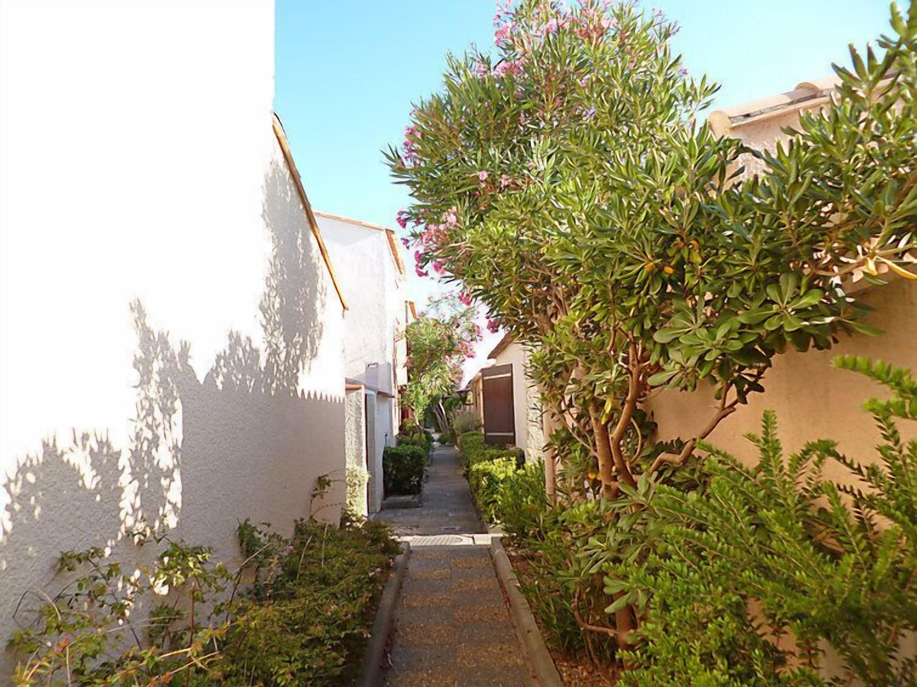 A narrow alleyway with a pathway flanked by white walls and lush greenery, including a flowering bush.