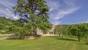 Une maison en pierre avec un grand arbre devant, entourée d’une pelouse bien entretenue.