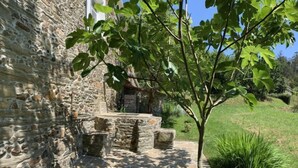Un sendero de piedra que conduce a una zona con bancos de piedra y un pequeño árbol en el centro.