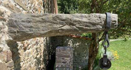 El Olivo by Interhome