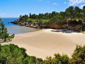 Playa en los alrededores 