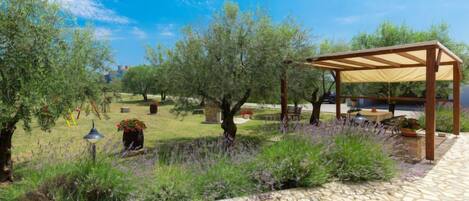 Um jardim com pérgola, caminho de pedra e diversas plantas.