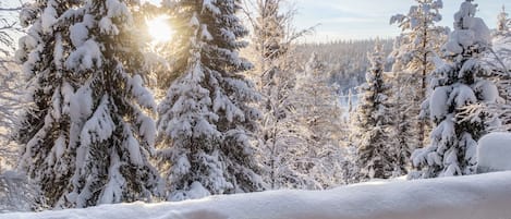 Overnattingsstedets uteområder