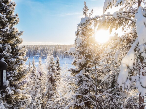 A snowy forest with a clear view of a distant mountain range.