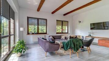 TV, fireplace, DVD player, foosball