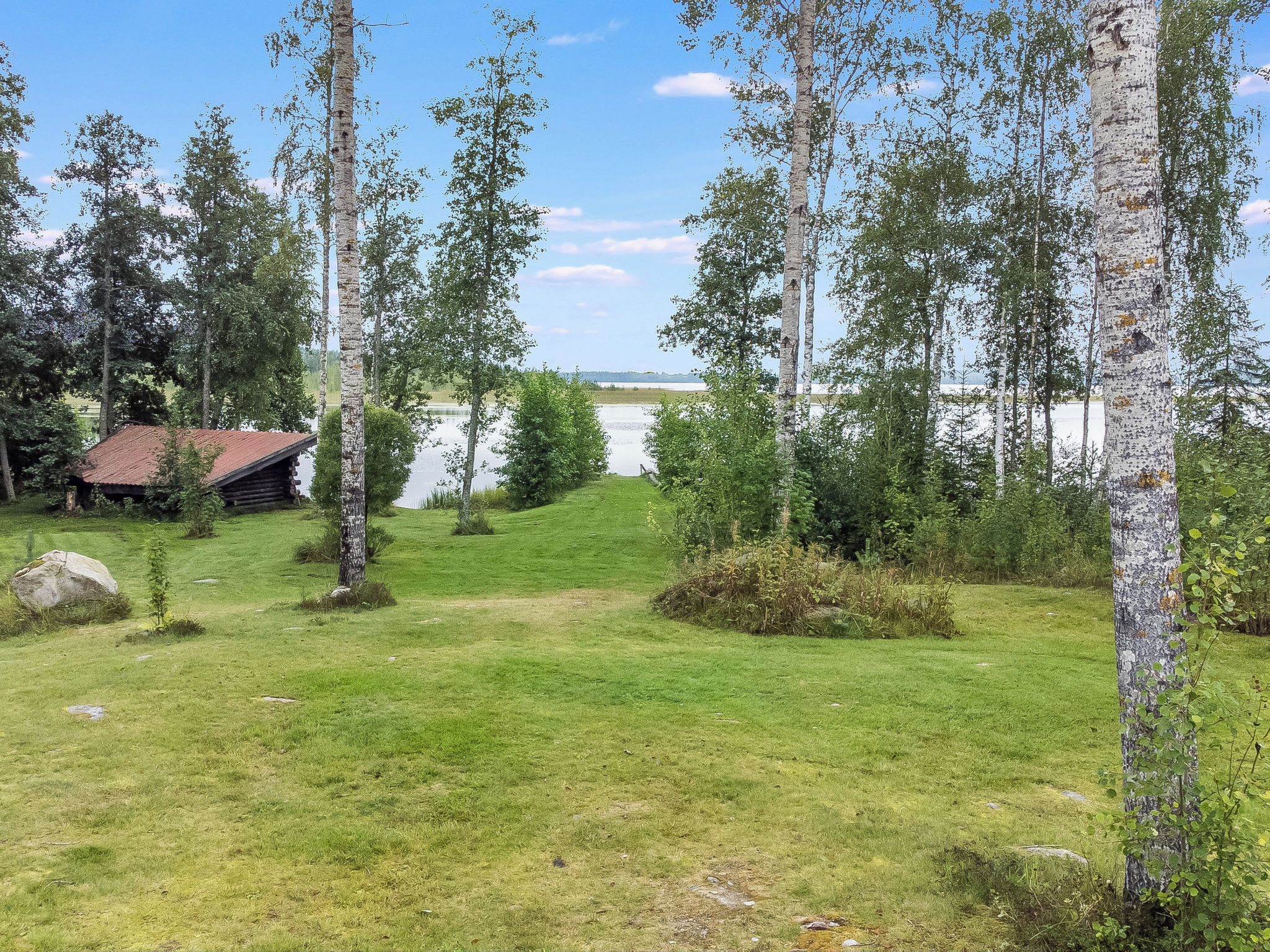 Ruohikkoalue, jossa on koivuja ja pieni puinen rakennelma.