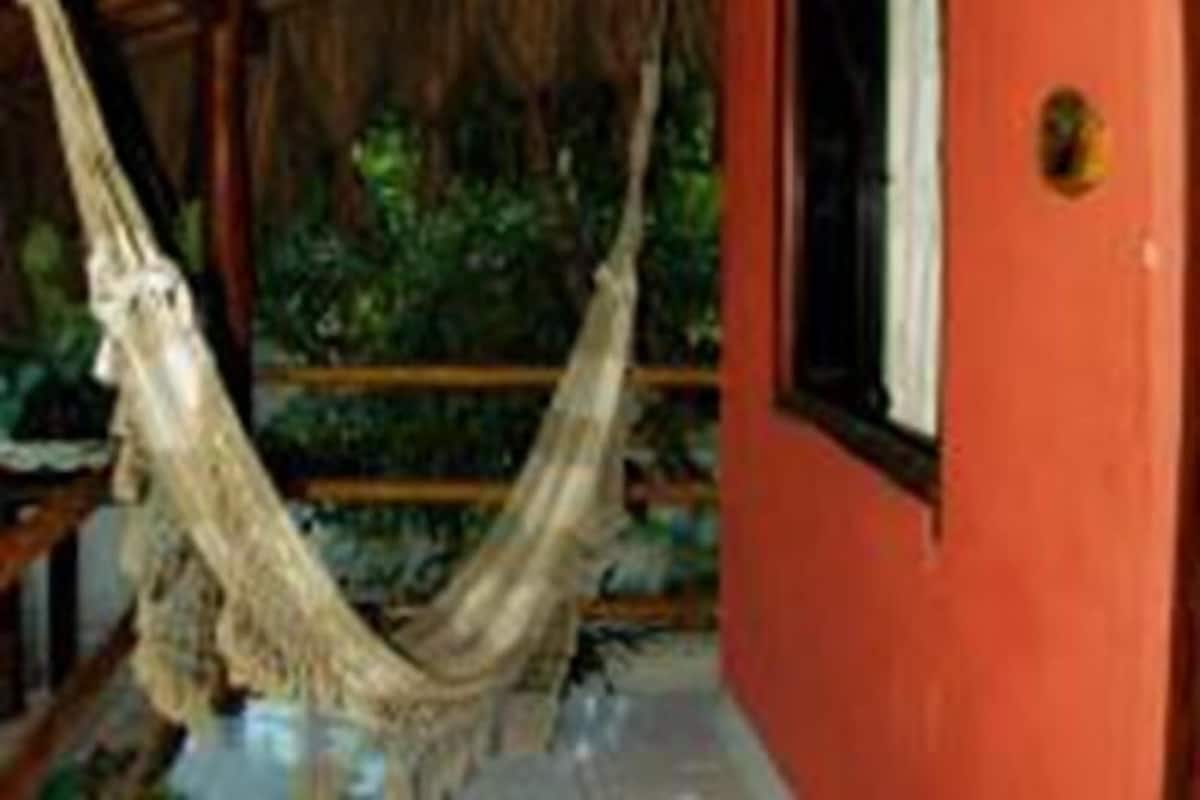 A room with a red wall, a wooden ceiling, and a hammock hanging from the ceiling.