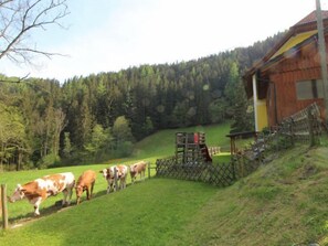 A rural landscape with a wooden barn, a fenced area with cows, and a forested hill in the background. - Krechen Alm by Interhome (Pernegg an der Mur)