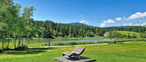 A grassy area with a wooden bench, a lake, and a forested mountain range in the background.