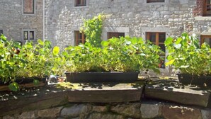 A stone building with multiple windows and a garden area with potted plants. - La Bastide by Interhome (Thy-le-Bauduin)