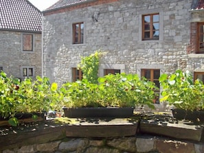 Terrain de l’hébergement