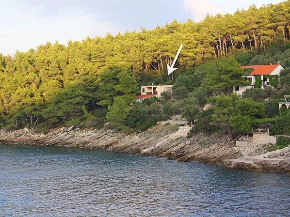 A coastal property with a stone staircase leading to a house with a red roof, surrounded by dense green trees.