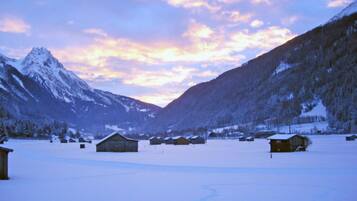 Sneeuw- en skisporten