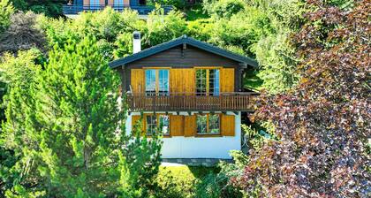 Magicien by Interhome