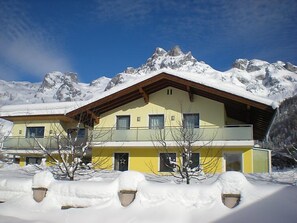 Exterior - Apartment Rosi by Interhome (Werfenweng)