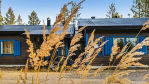 Une cabane rustique avec un toit en métal et des bordures bleues, entourée de hautes herbes.