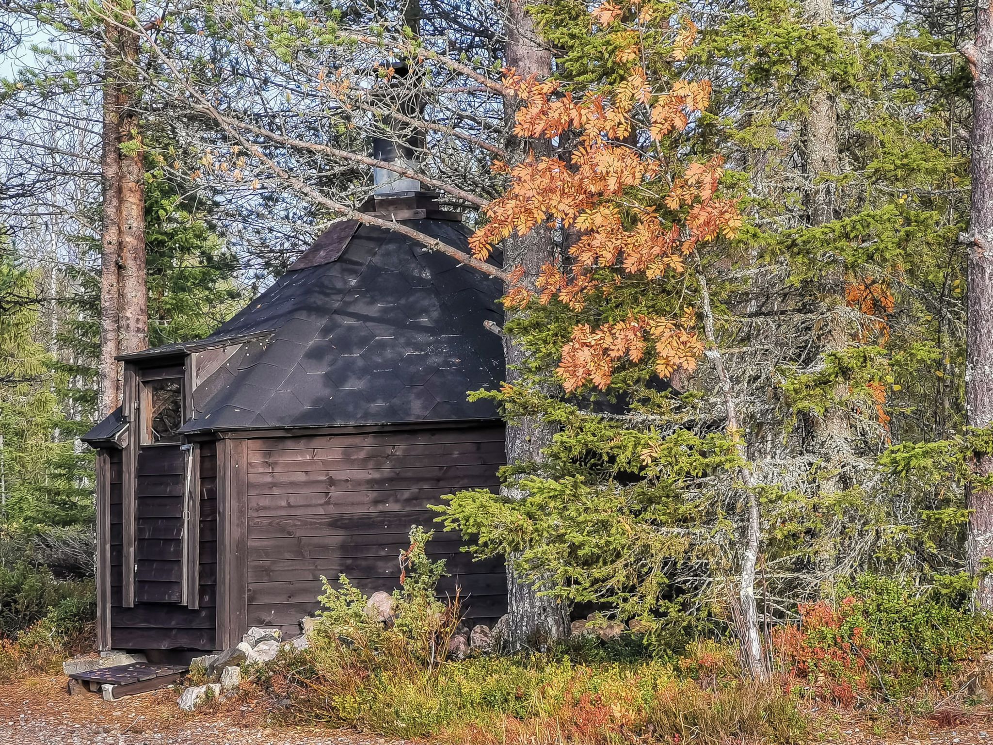 Una pequeña cabaña de madera con techo inclinado, rodeada de un bosque denso y follaje otoñal.
