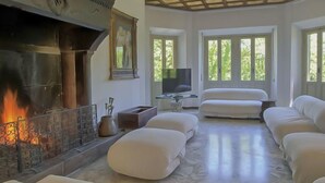 Un vaste espace de vie agrémenté d’une cheminée, de sièges confortables et de grandes fenêtres offrant une vue sur la verdure.