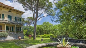 Un jardin avec un étang, un bâtiment doté d’un balcon et un grand arbre.