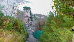 Una escalera de piedra que sube rodeada de vegetación y un cielo despejado.