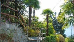 Una scalinata in pietra con ringhiere in metallo che conduce su un pendio roccioso, immersa in vegetazione lussureggiante e palme.