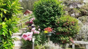 A garden with a stone staircase leading to a wooden cabin. - Namasté by Interhome (Le Grand Bornand)