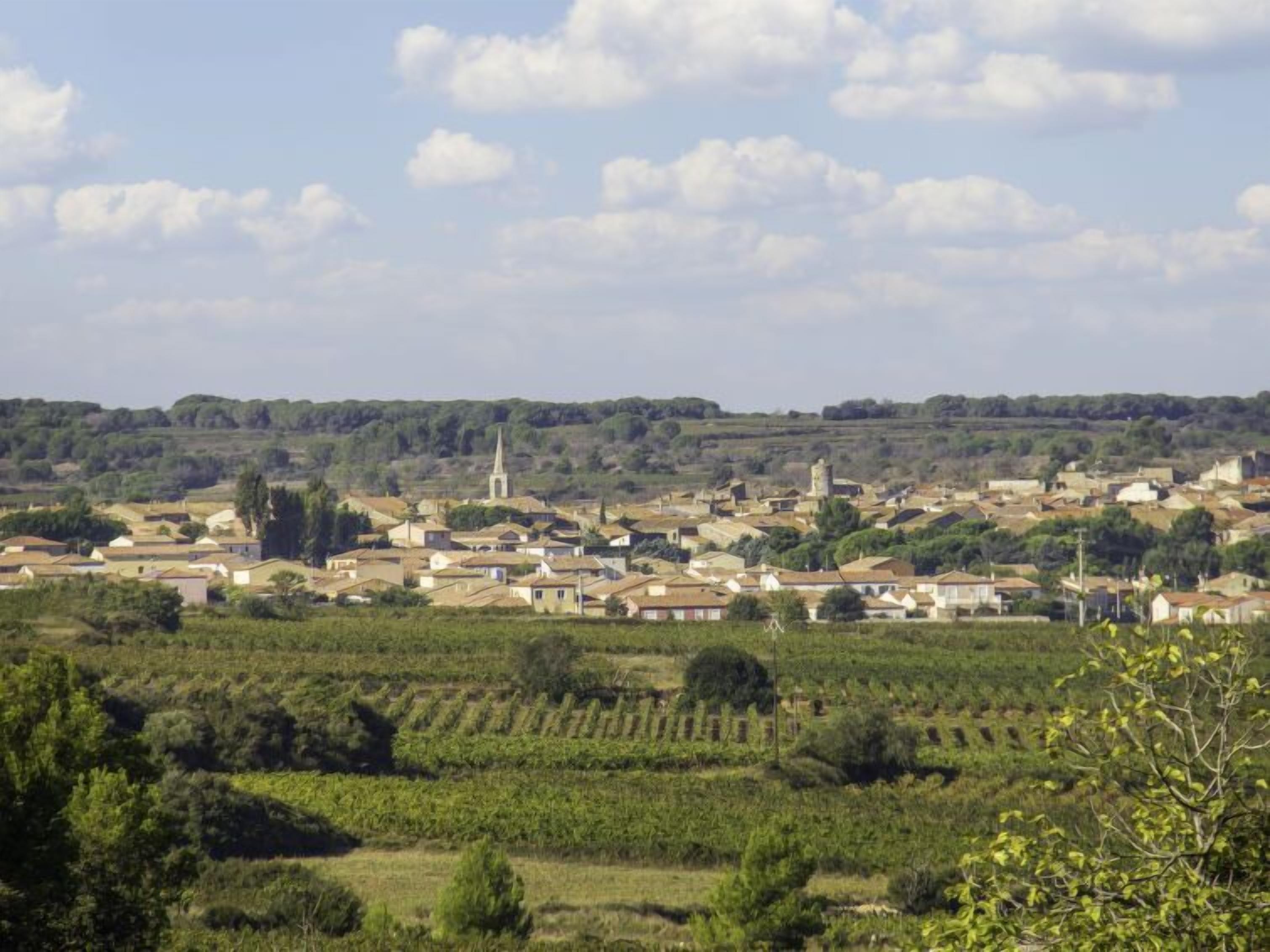 Une petite ville rurale, dominée par le clocher imposant de son église, entourée de vignobles et de bâtiments résidentiels.