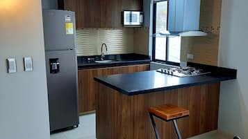 Deluxe Apartment | Private kitchen | Fridge, microwave, stovetop, coffee/tea maker