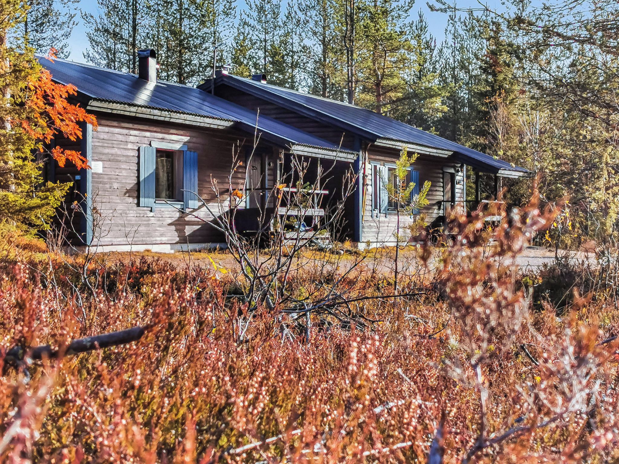 Une cabane en rondins dotée d’un porche et d’une cheminée, entourée d’un feuillage automnal et d’arbres.