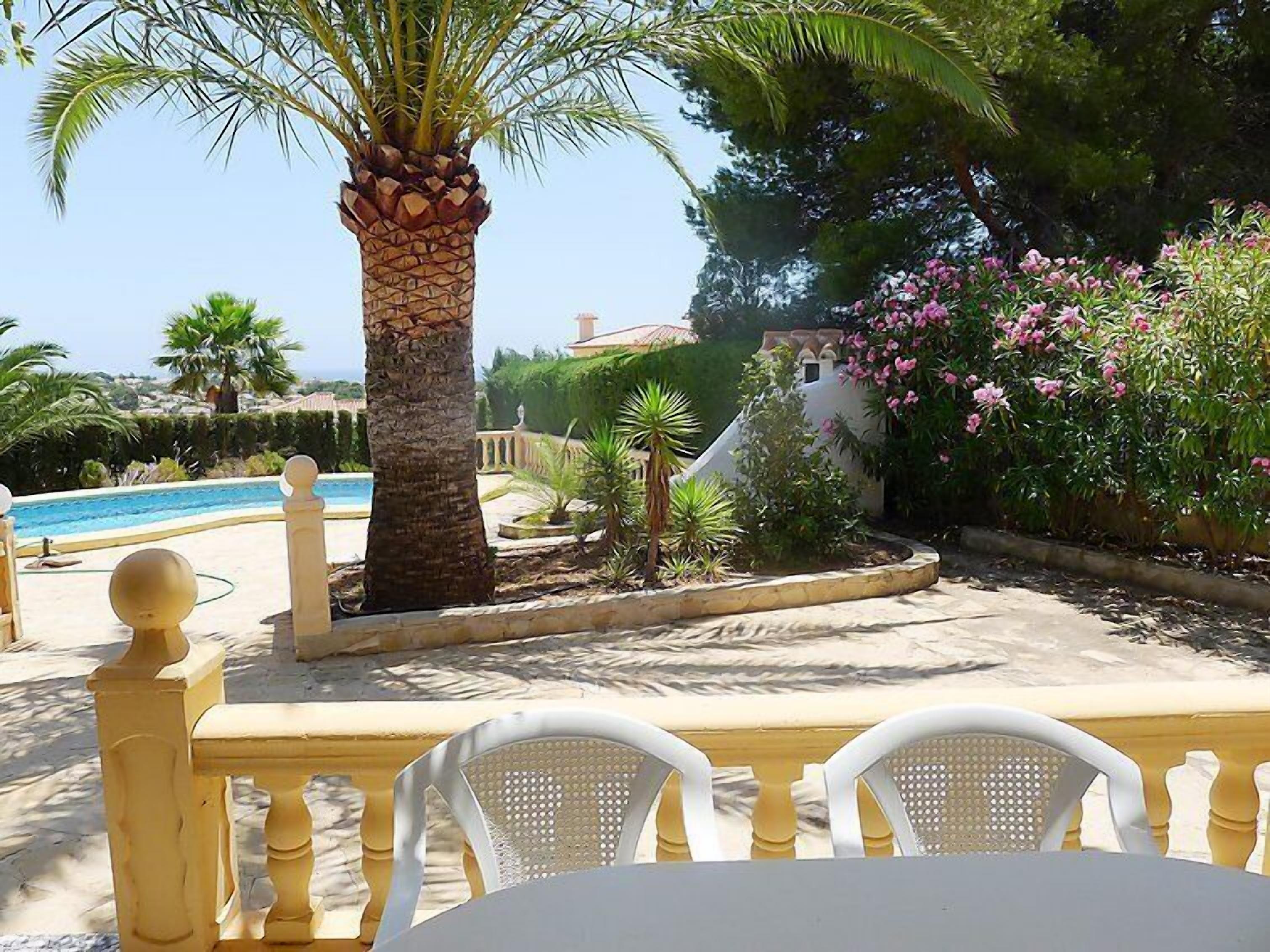 Un espace aménagé au bord de la piscine, avec un palmier, des chaises et une vue sur la mer.