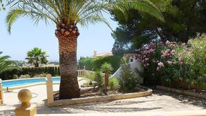 Un espace aménagé au bord de la piscine, avec un palmier, des chaises et une vue sur la mer.