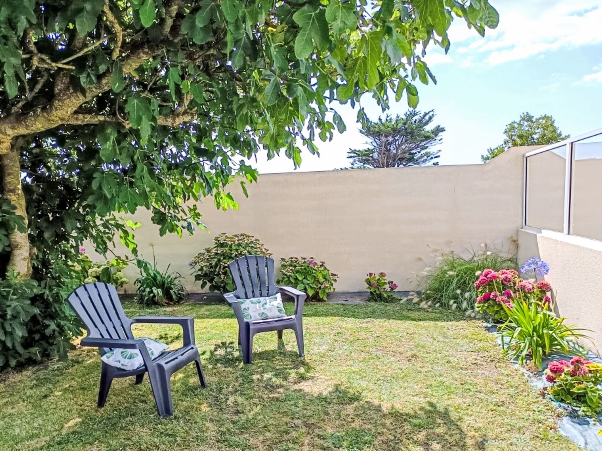 A backyard with two Adirondack chairs, a small tree, and various plants.