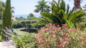 A landscaped garden with various plants and a view of the sea. - La Petite Afrique by Interhome (Les Issambres)