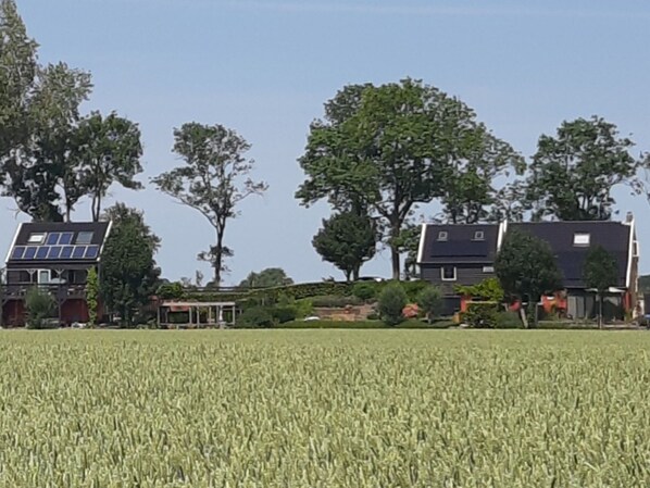 A residential area with houses, a field, and trees.